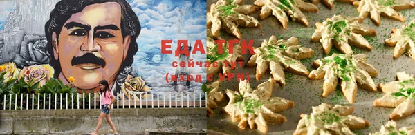 гашик Белокуриха