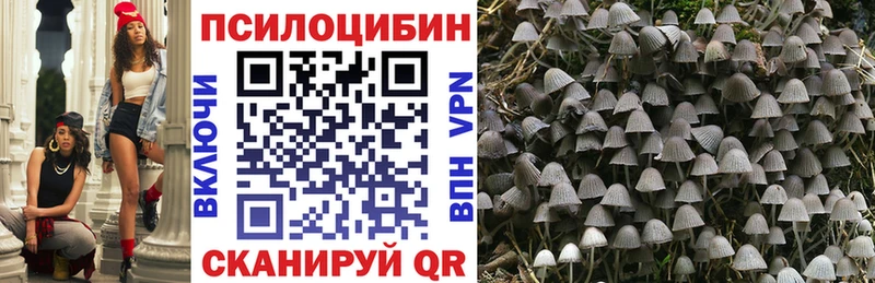 где купить наркотик  Тихвин  Галлюциногенные грибы MAGIC MUSHROOMS 